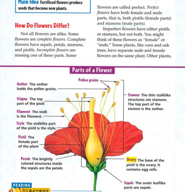 How Do Flowers Differ Project Science Literacy Corner